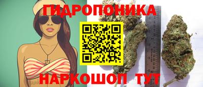 ГАЛЛЮЦИНОГЕННЫЕ ГРИБЫ Тулун