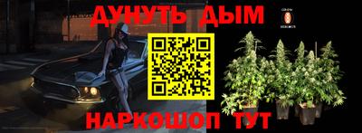 шишки Усть-Илимск