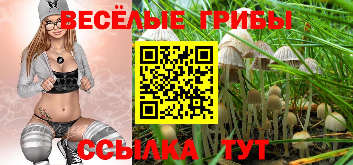 Псилоцибиновые грибы мицелий Большой Камень