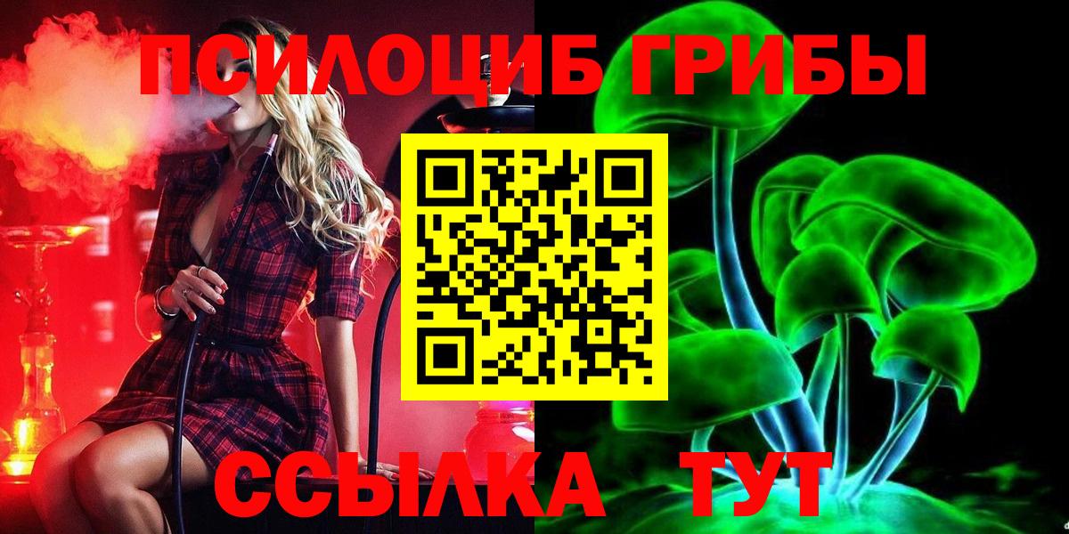продажа наркотиков  Вход с VPN  Псилоцибиновые грибы Magic Shrooms  Большой Камень  Галлюциногенные грибы Psilocybine cubensis 